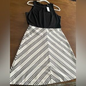 Ann Taylor Black Sleeveless Dress with White Tag Detail